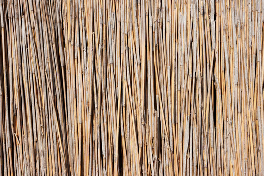 reed texture