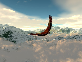 Fototapeta na wymiar eagle in the cold mountains