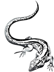 Salamander Tattoo Vorlage