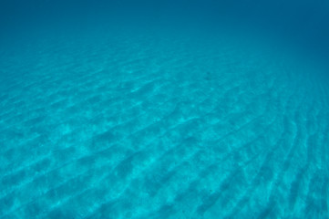 Light Dappled Sandy Bottom