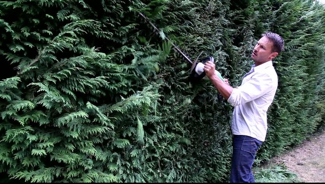 Man using hedge trimmer