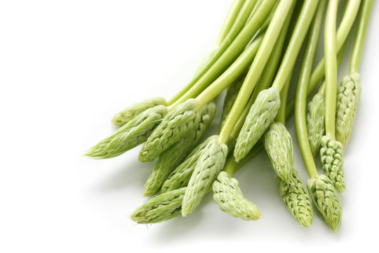 Wild Asparagus On White Background