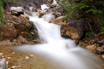 Fototapeta na wymiar mountain stream in austria