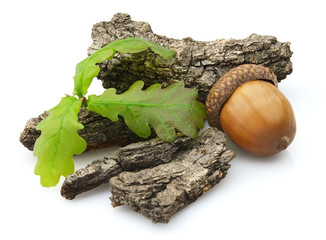Bark with leaves