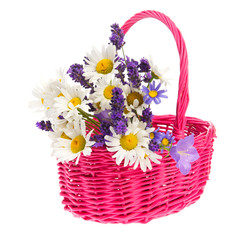Fototapeta na wymiar Basket wild flowers