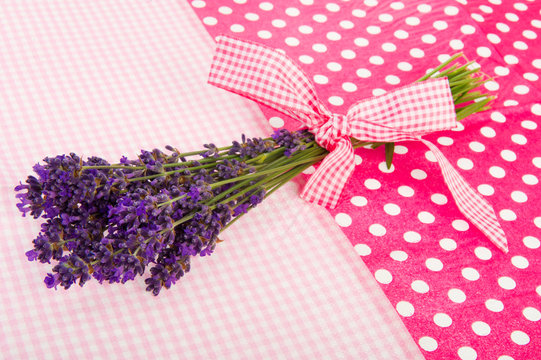 Bouquet Lavender on dotted background