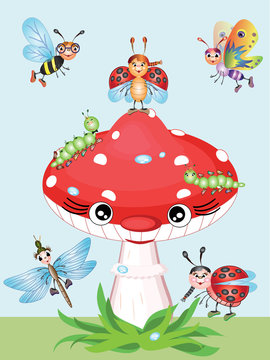 Mushroom and insects