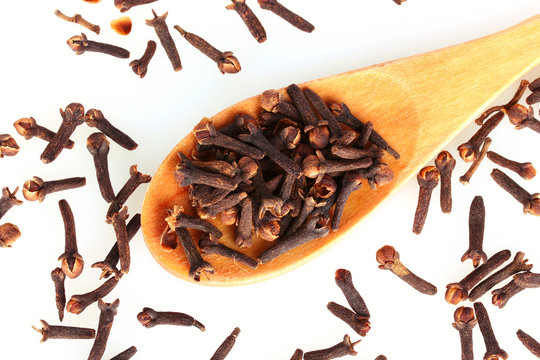 spice clove in spoon isolated on white