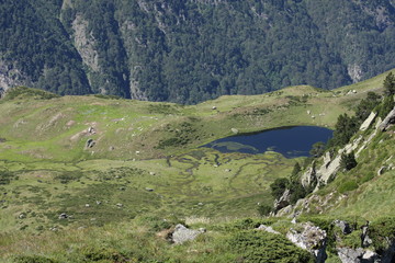 Fototapeta na wymiar Paysage ariègeois,Pyrénées