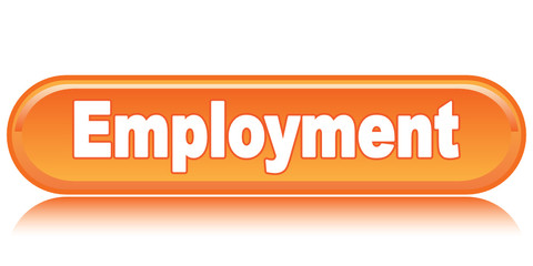 EMPLOYMENT ICON