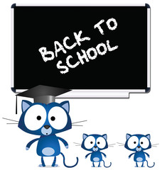 Cat teacher and pupils back to school