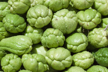 Fototapeta premium chouchou, chayotte, christophine