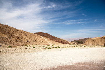 Travel in Arava desert