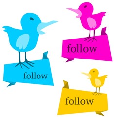 follow