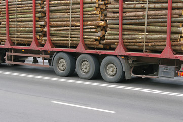 Wooden Logs on Logging Truck Trailer