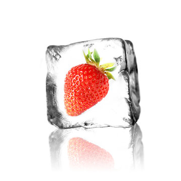 Frische Erdbeere