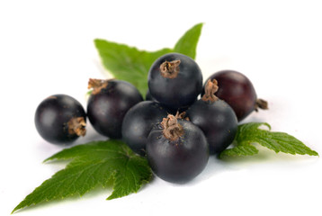 black currants with leaves