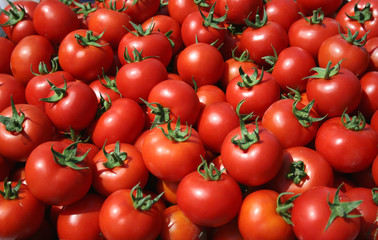 red tomatoes at the market