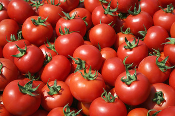 red tomatoes at the market