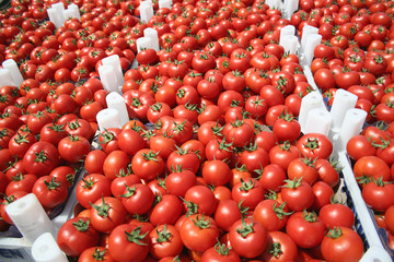 red tomatoes at the market