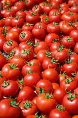 red tomatoes at the market