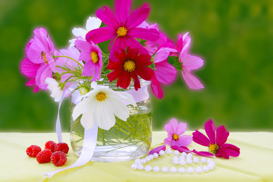 Blumenstrauss,Kosmea