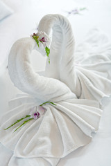 Naklejka premium swans