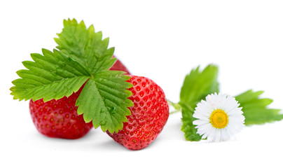 strawberries with leaves