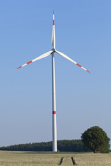 Windrad im Brandenburger Land