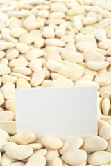 Dried raw butter bean/lima bean (lat. Phaseolus lunatus)