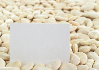 Dried raw butter bean/lima bean (lat. Phaseolus lunatus)