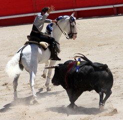 corrida