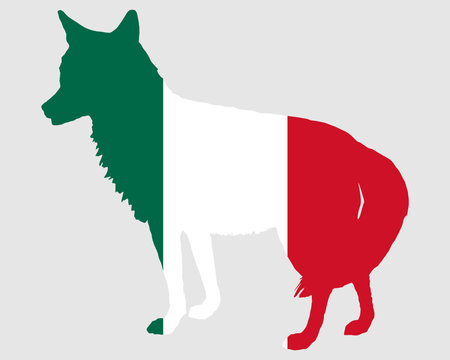 Kojote Mexiko