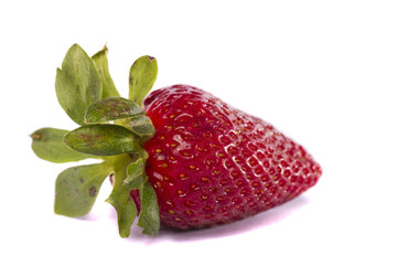 strawberry fruit