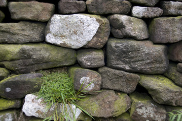 Peak District Dry Stone Wall
