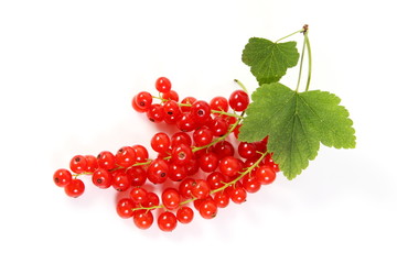 Johannisbeeren freigestellt