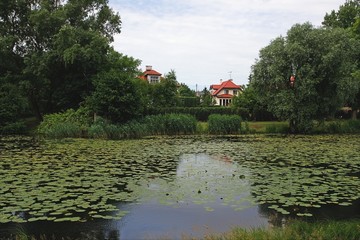 Park wilanowski, jezioro