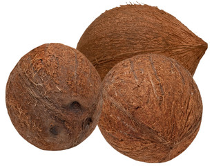 coconut isolated on white background