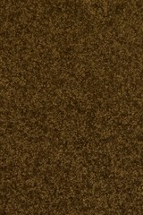 Fototapeta premium Carpet