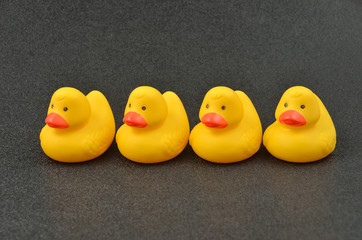 Rubber Duckies in a Row