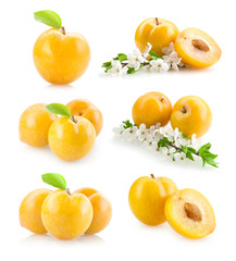 set of yellow plums images