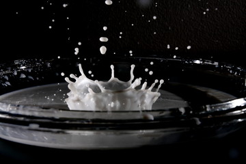 Fototapeta na wymiar Powitalny mleka