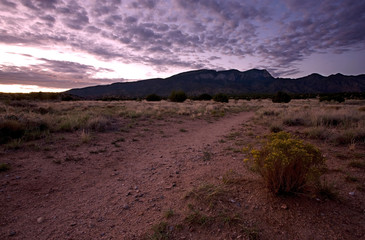 Naklejka premium Desert Landscape: Sandia Mountains