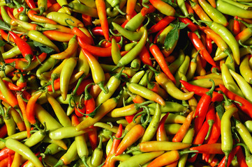 Peppers