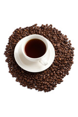 Coffee Bean