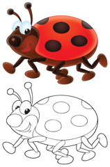Ladybug