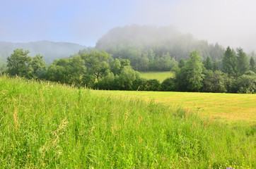 Misty morning in mountains (Bieszczady, Poland)