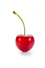 ciliegia  su fondo bianco