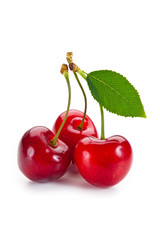 ciliegie con foglia su fondo bianco