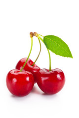 ciliegie con foglia su fondo bianco